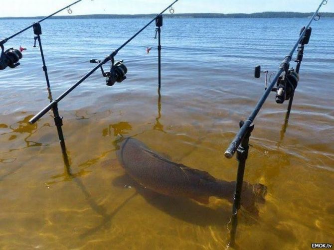 tmp_613-thumbs_EMOK_Picdump_405_003-1919150971.jpg