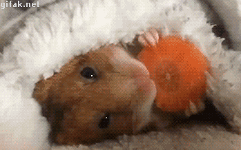 tmp_6515-tumblr_ny9g7g7KD41ukldkho1_4008555759.gif