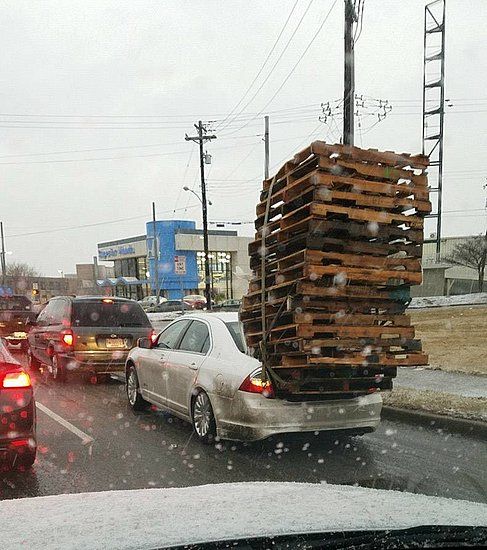 tn_146270.jpg