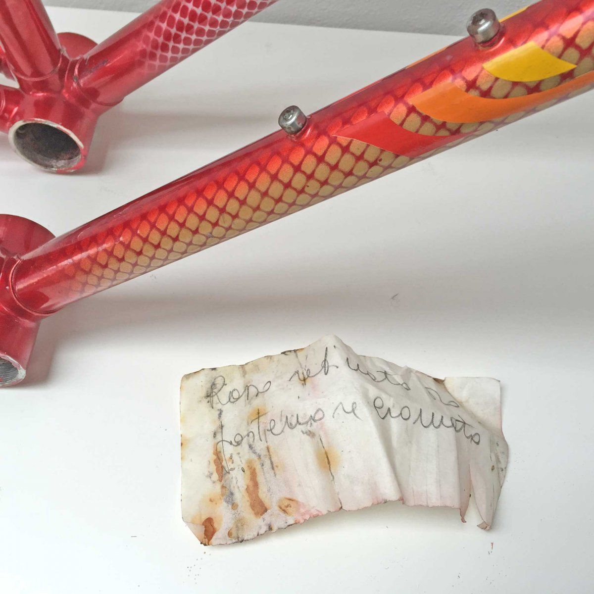 tommasini_1.jpg