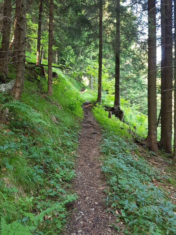 Trail1.jpg