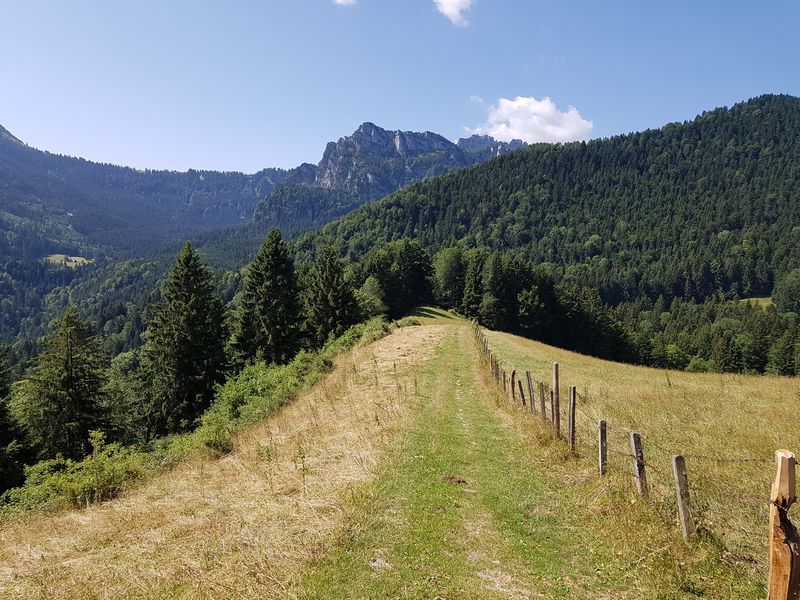 Trail2.jpg