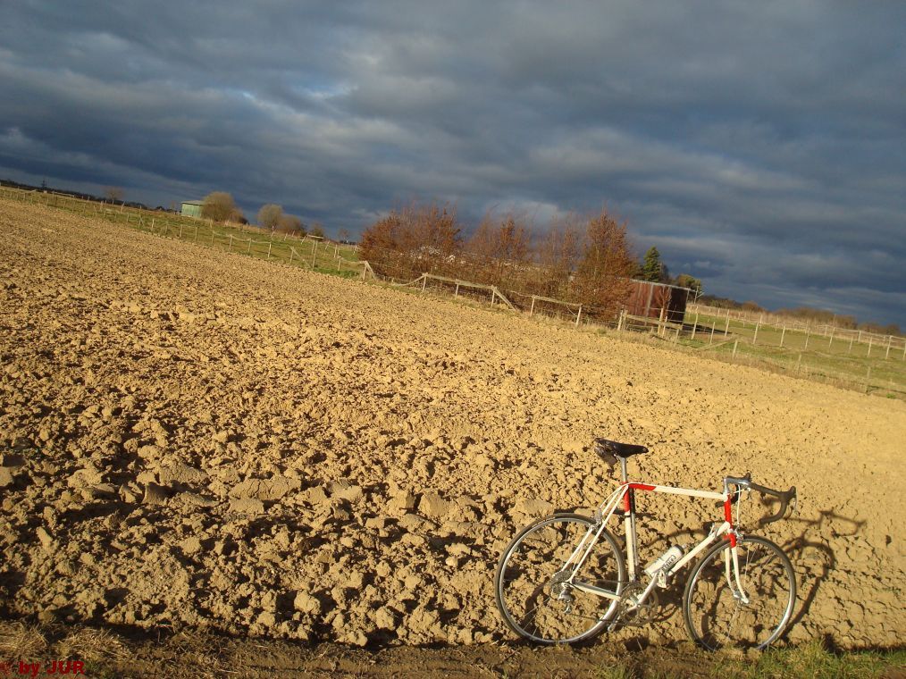 Trainingsrunde1.jpg