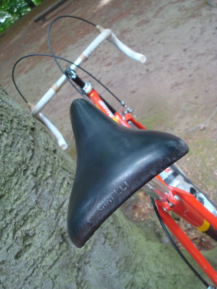 TrimmTiTour3.jpg