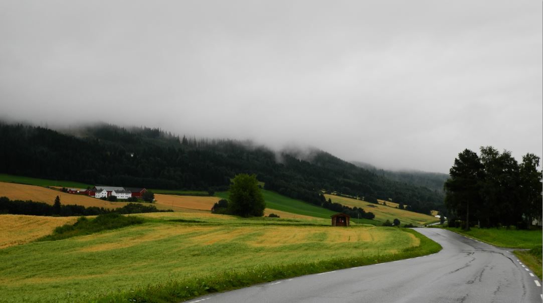 Trondheim-Oslo2.JPG