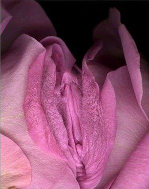 tumblr_lxrv6poqbU1rn5zwxo2_400.jpg