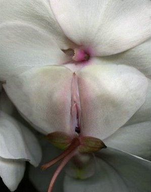 tumblr_lxrv6poqbU1rn5zwxo4_r1_400.jpg