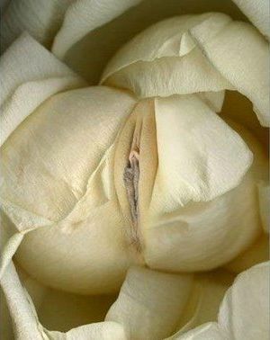 tumblr_lxrv6poqbU1rn5zwxo7_400.jpg