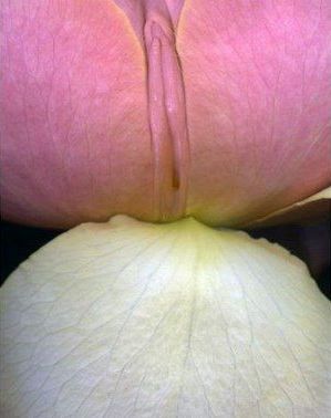 tumblr_lxrv6poqbU1rn5zwxo8_400.jpg