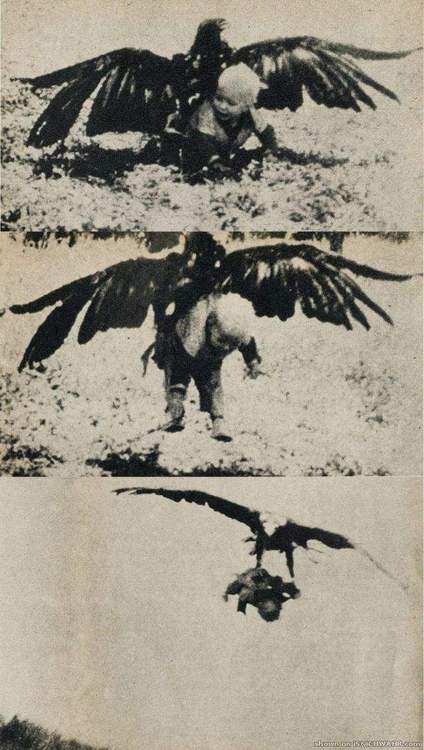 tumblr_na5zbktUDb1rdredko1_500.jpg