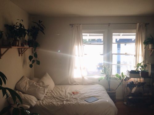 tumblr_naspmd8bfx1qb6nhho1_500.jpg