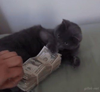 tumblr_ntp0reEh2K1ut6r1xo1_400.gif