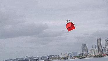 tumblr_o36ehz27cs1sqkwlno3_400.gif