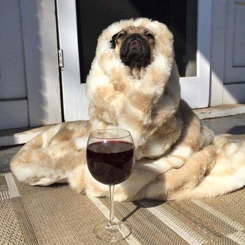tumblr_o54i0drq001tqfttmo1_500.jpg