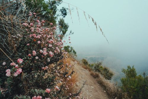 tumblr_oadmq3VwPa1qihb01o2_500.jpg