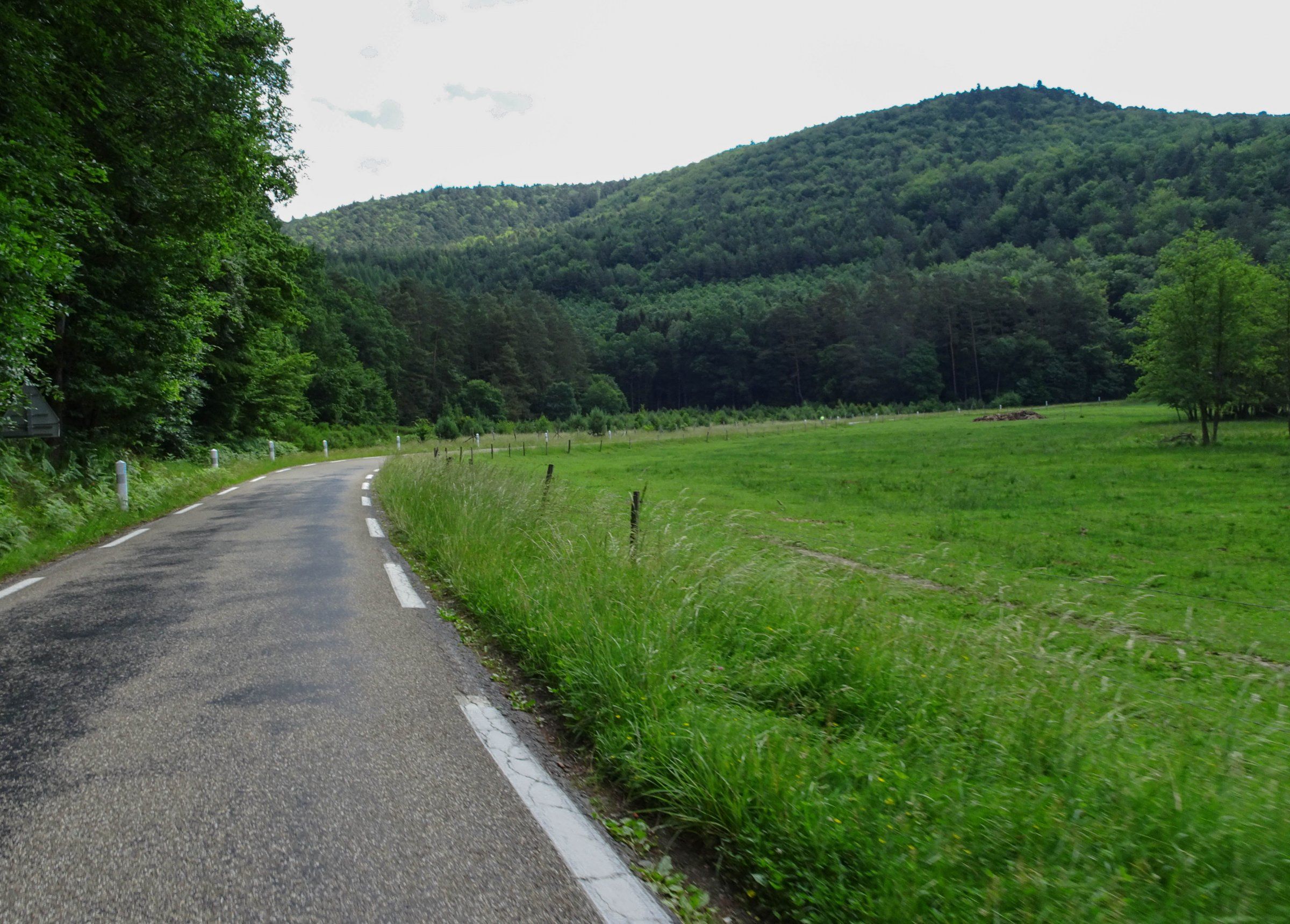 unbenannt-1114.jpg