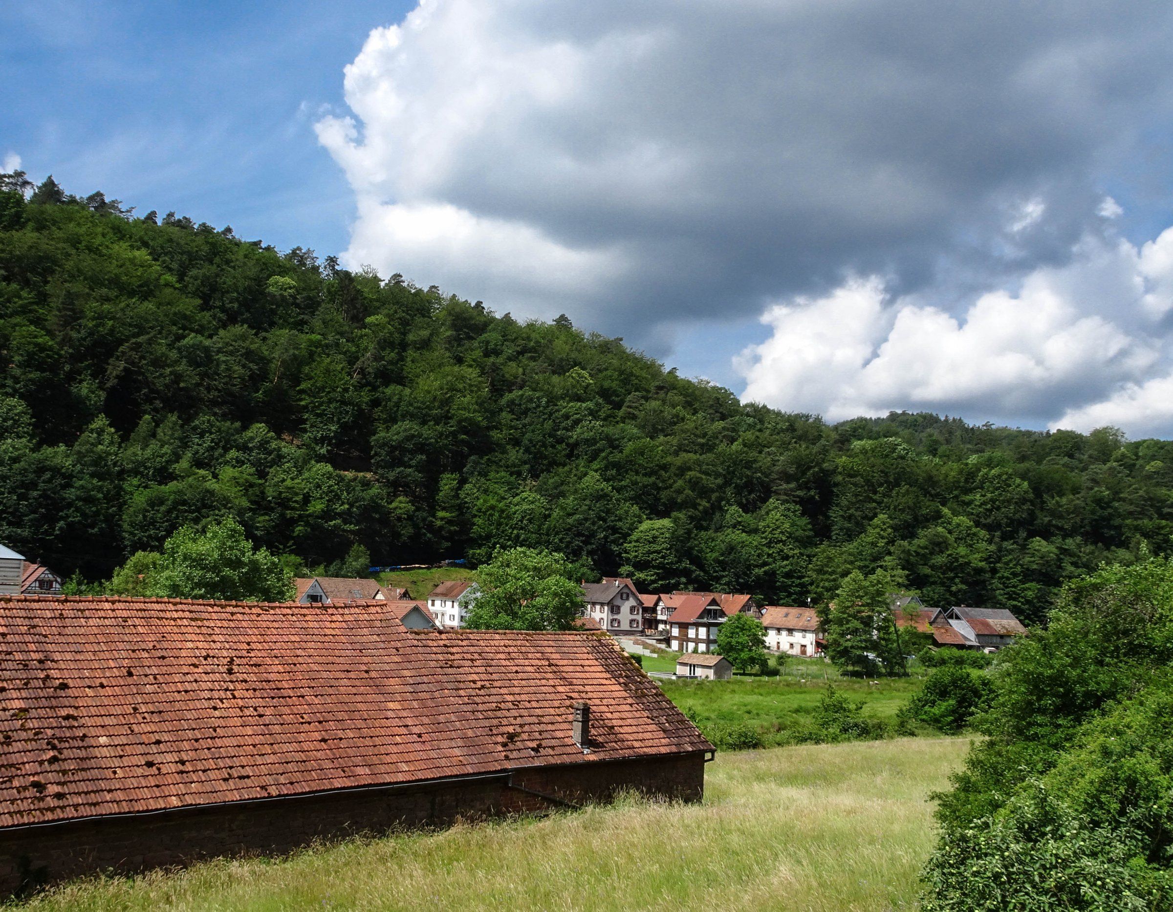 unbenannt-1124.jpg
