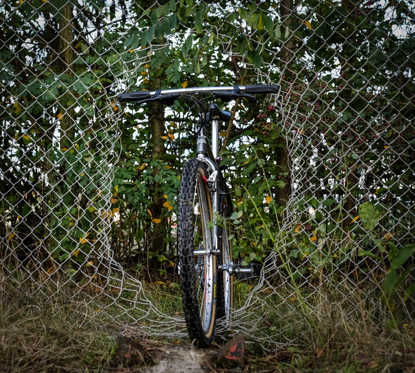 unbenannt-2897.jpg