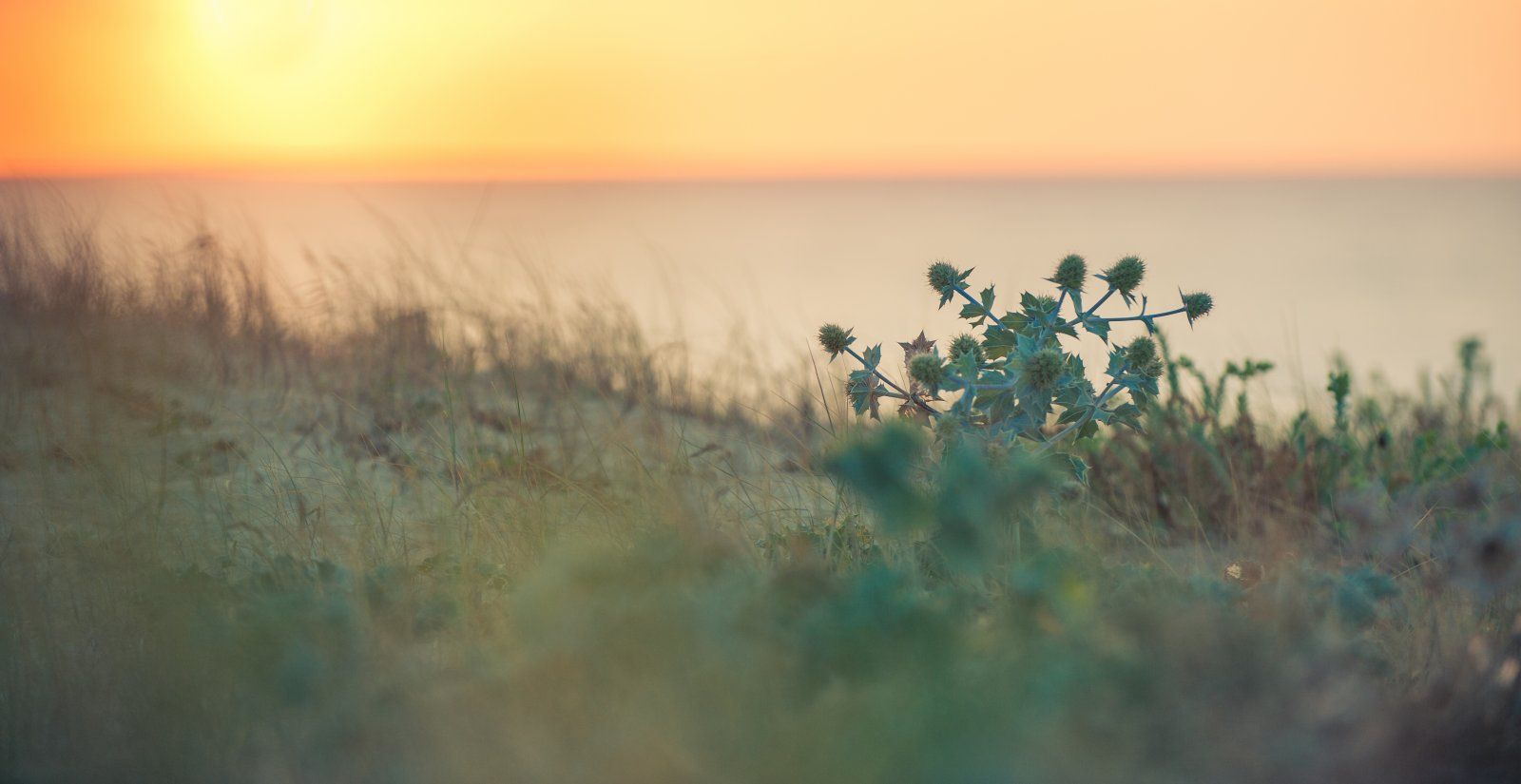 Urlaub Frankreich 2015 Cote basque-7.JPG