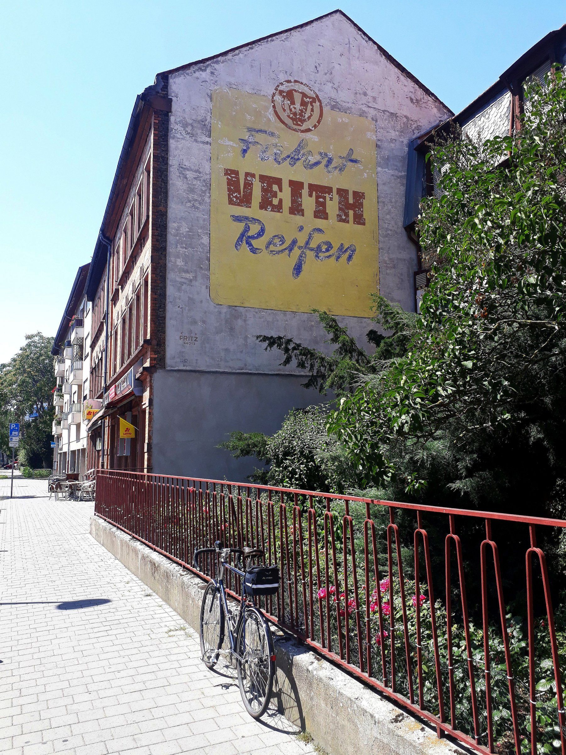veith1.jpg