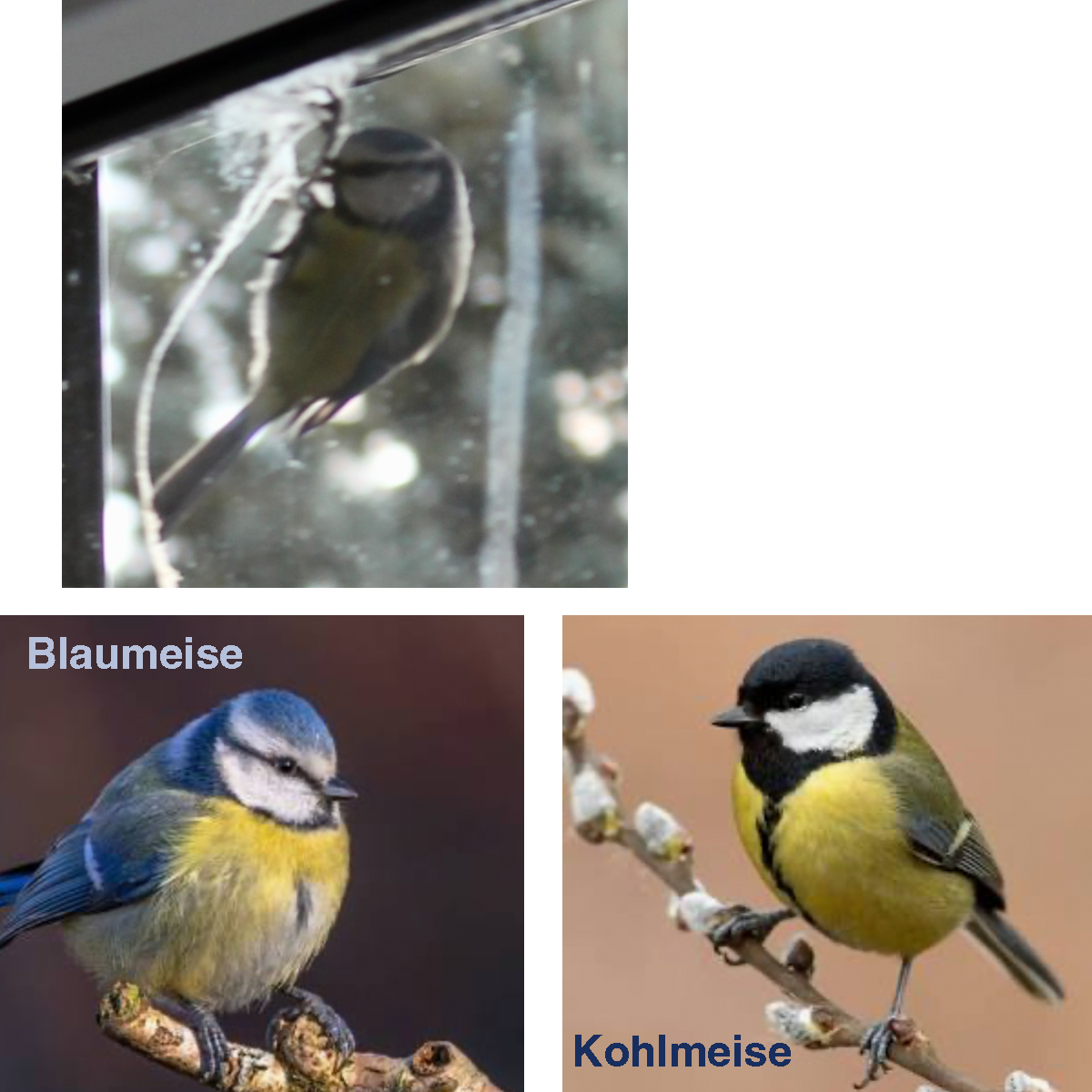 vergleich.png
