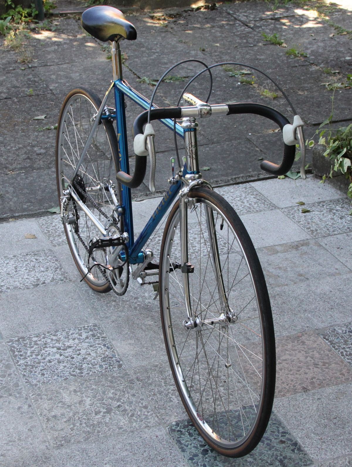 vicini_Ganz_3_1200.jpg