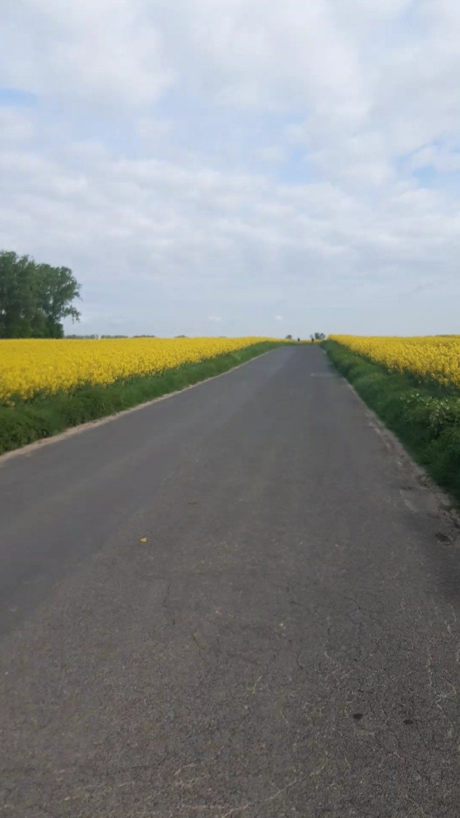 VideoCapture_20240420-194250.jpg