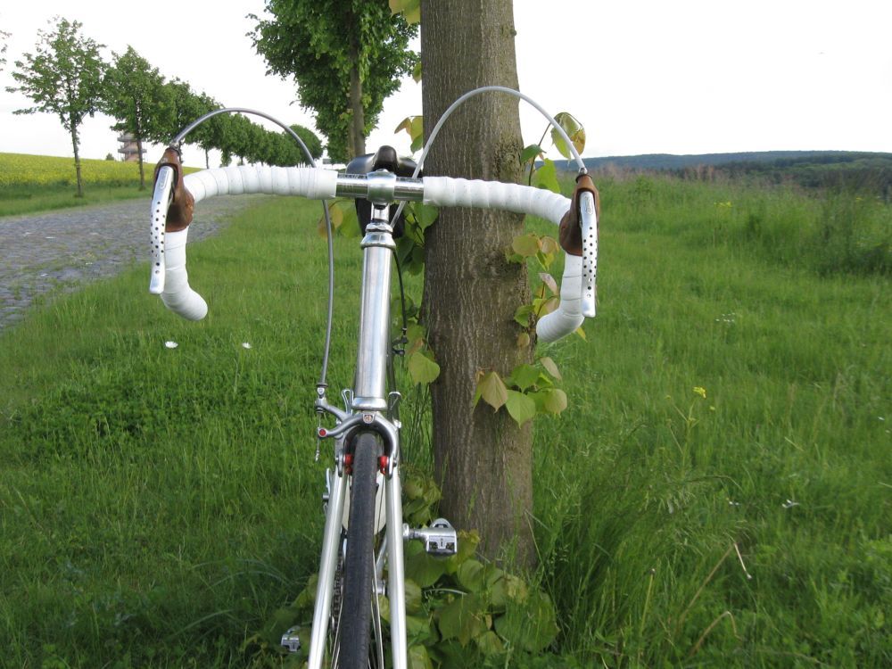 vitus frontal 24513.jpg