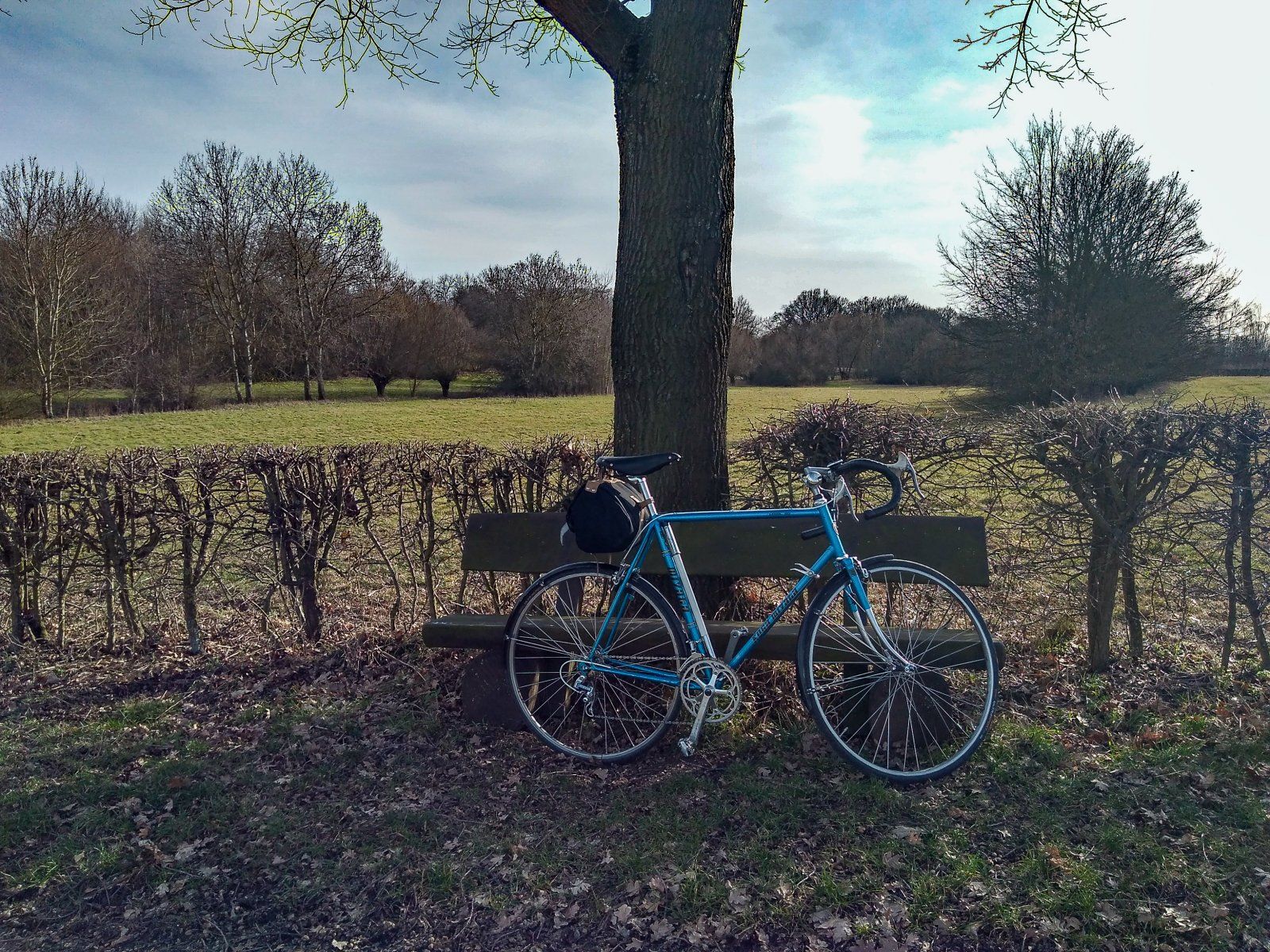 Vorfrühling in der Einflugschneise am 20.02.2021.jpg