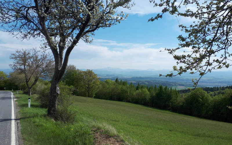 waldviertel.jpg