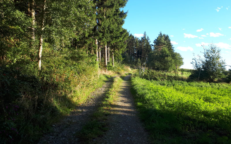 wandern.jpg