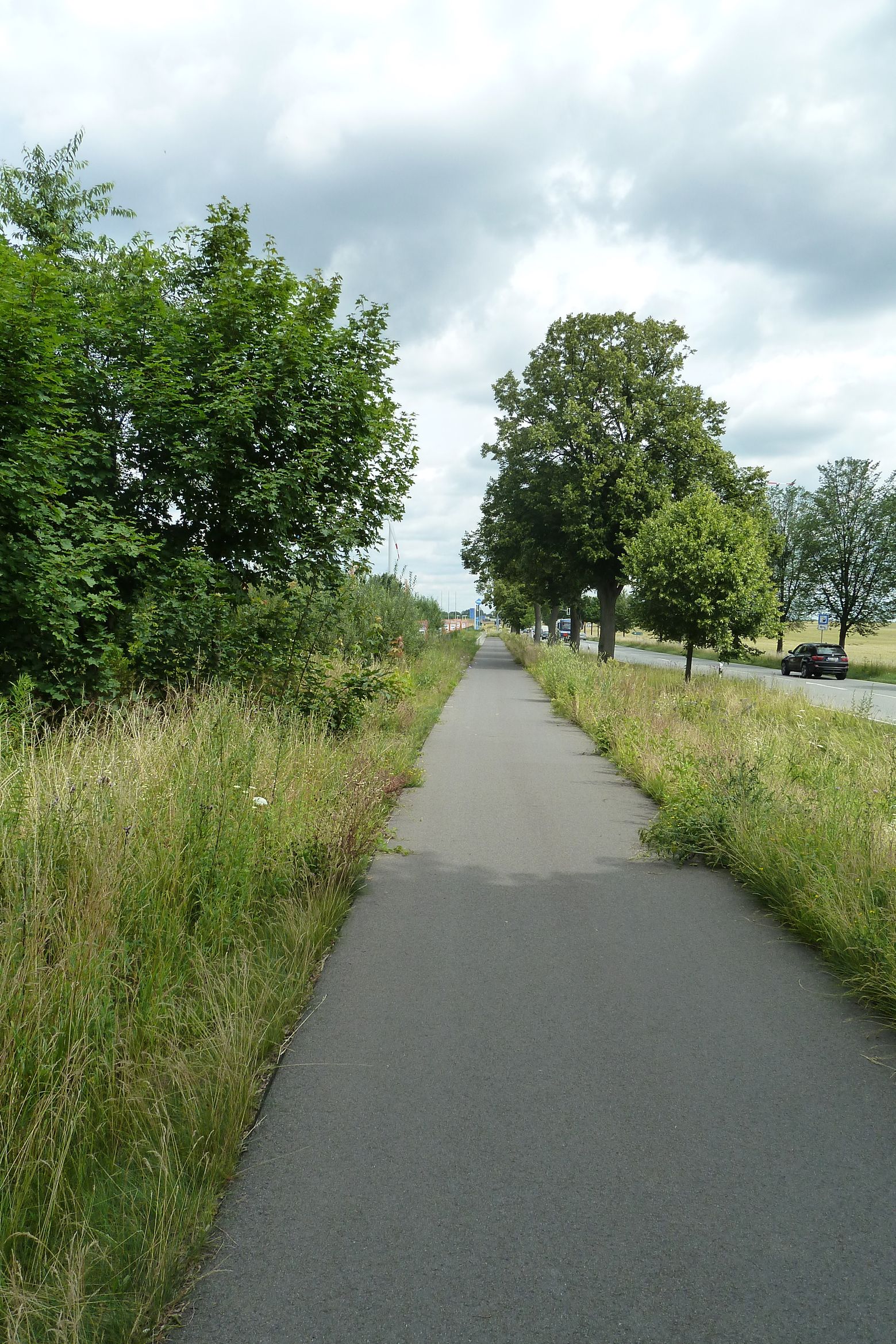 way-1.jpg
