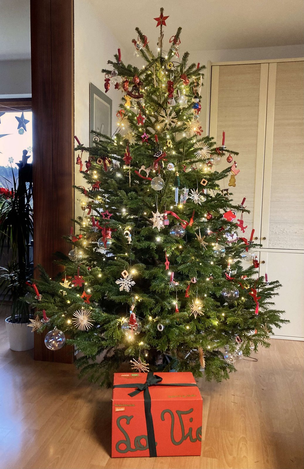 Weihnachtsbaum 2020.jpg