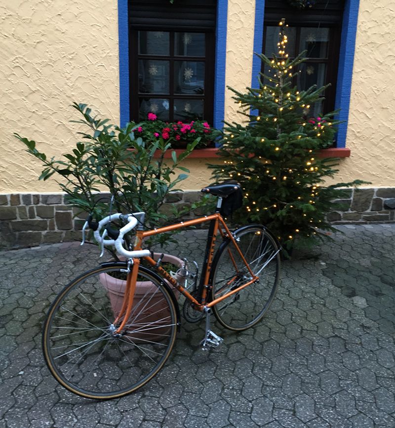 Weinachtsbaum.jpg