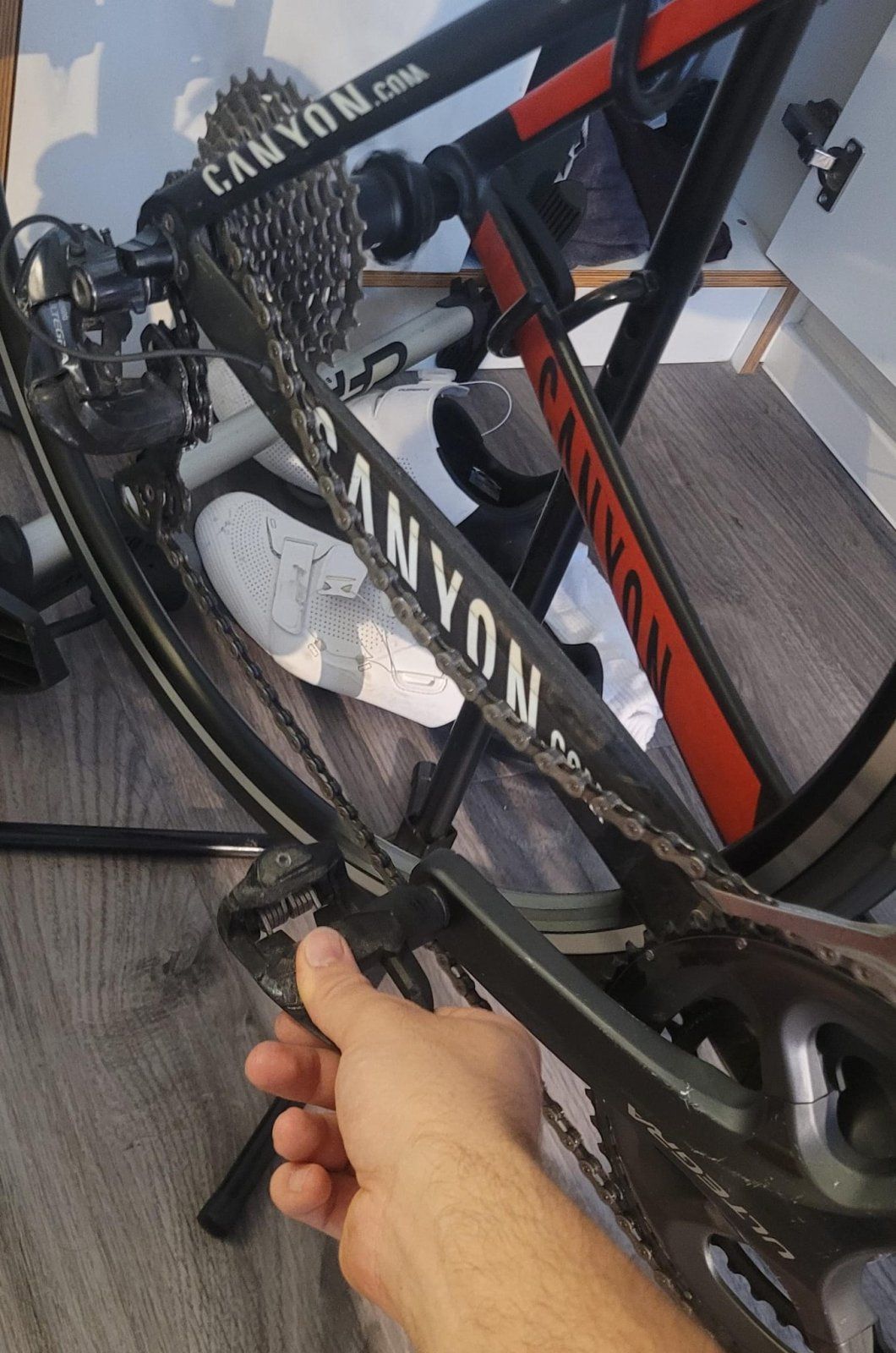 WhatsApp Bild 2024-07-23 um 21.02.06_a42af8fd.jpg