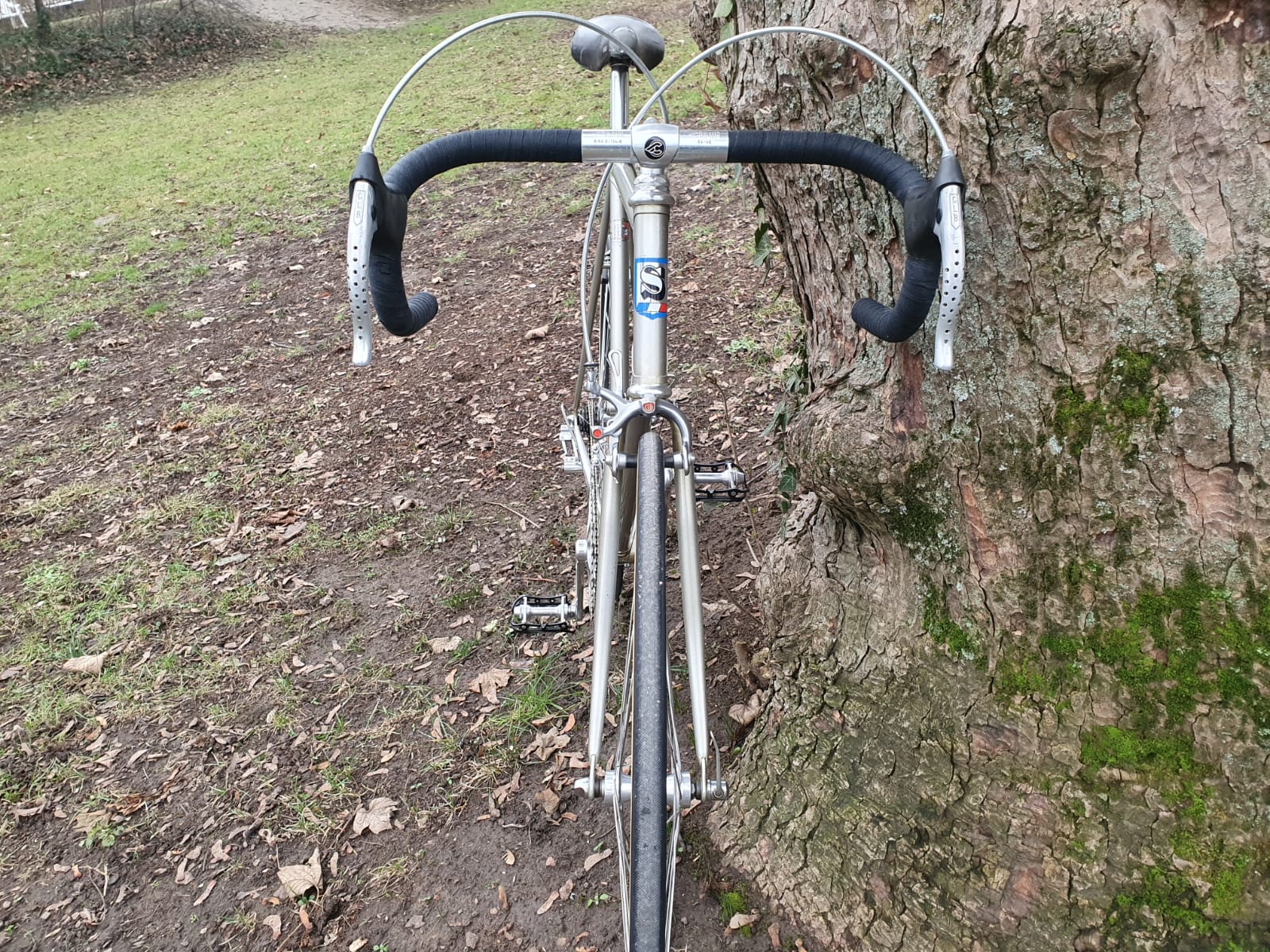 WhatsApp Image 2021-01-07 at 12.56.55.jpeg