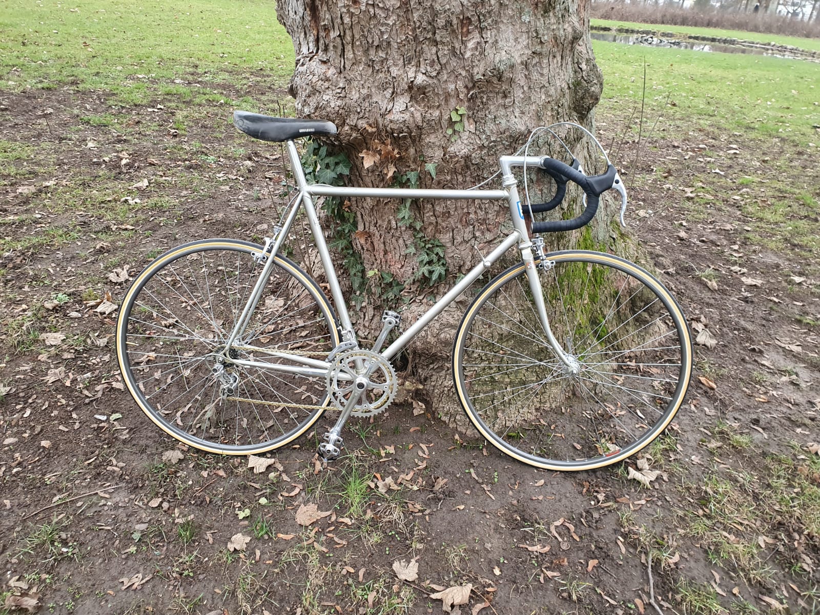 WhatsApp Image 2021-01-07 at 12.56.56.jpeg