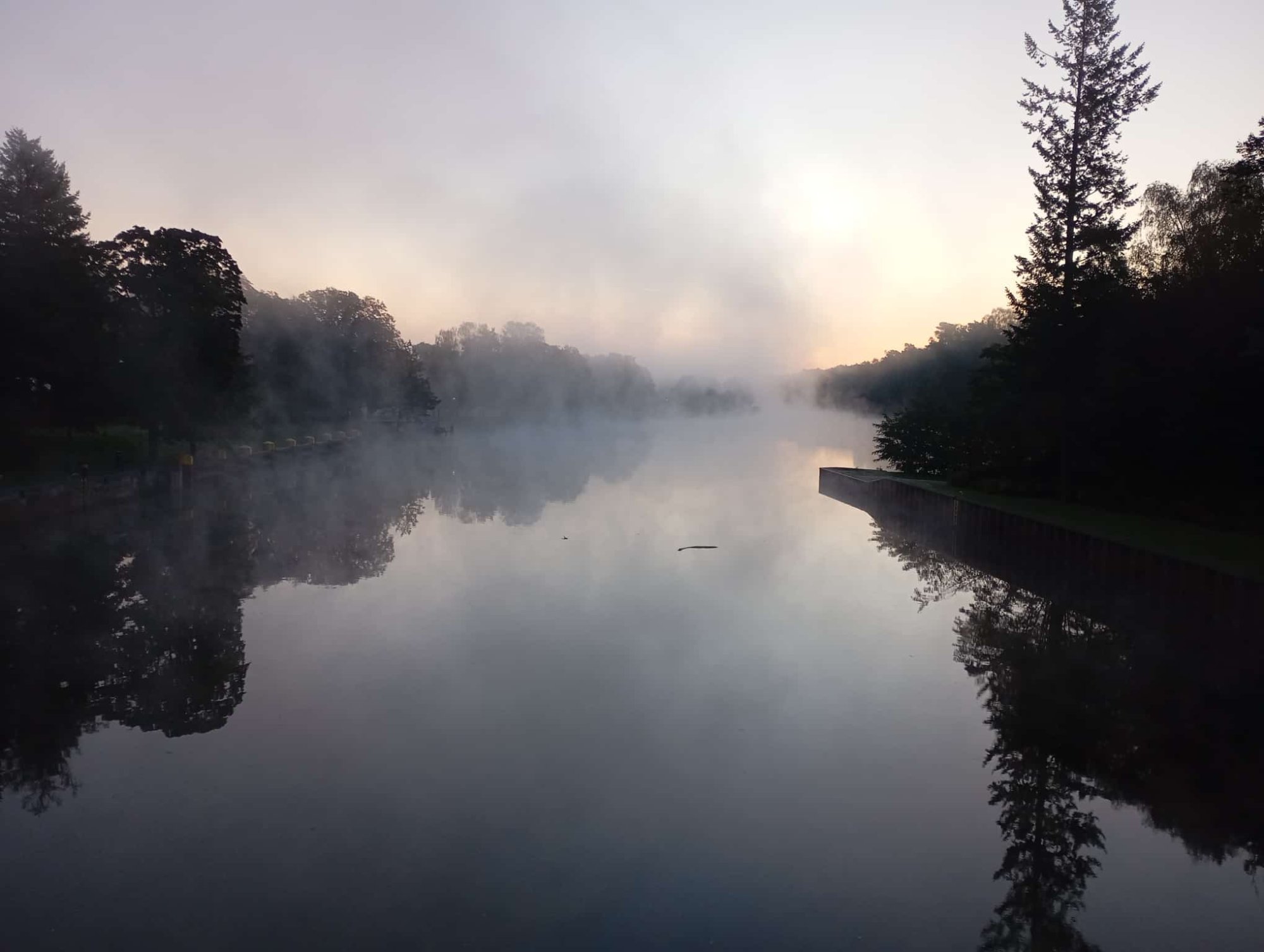 WhatsApp Image 2024-10-12 at 17.38.18.jpeg