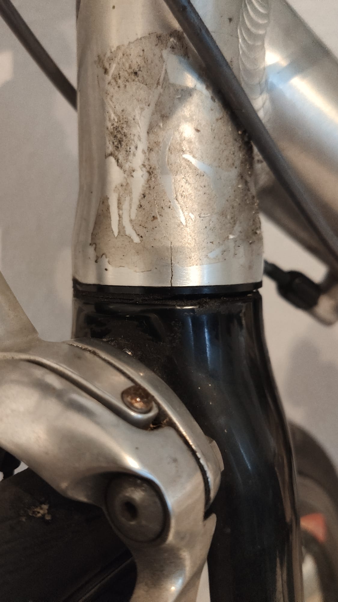 WhatsApp Image 2025-06-25 at 11.23.16 (1).jpeg