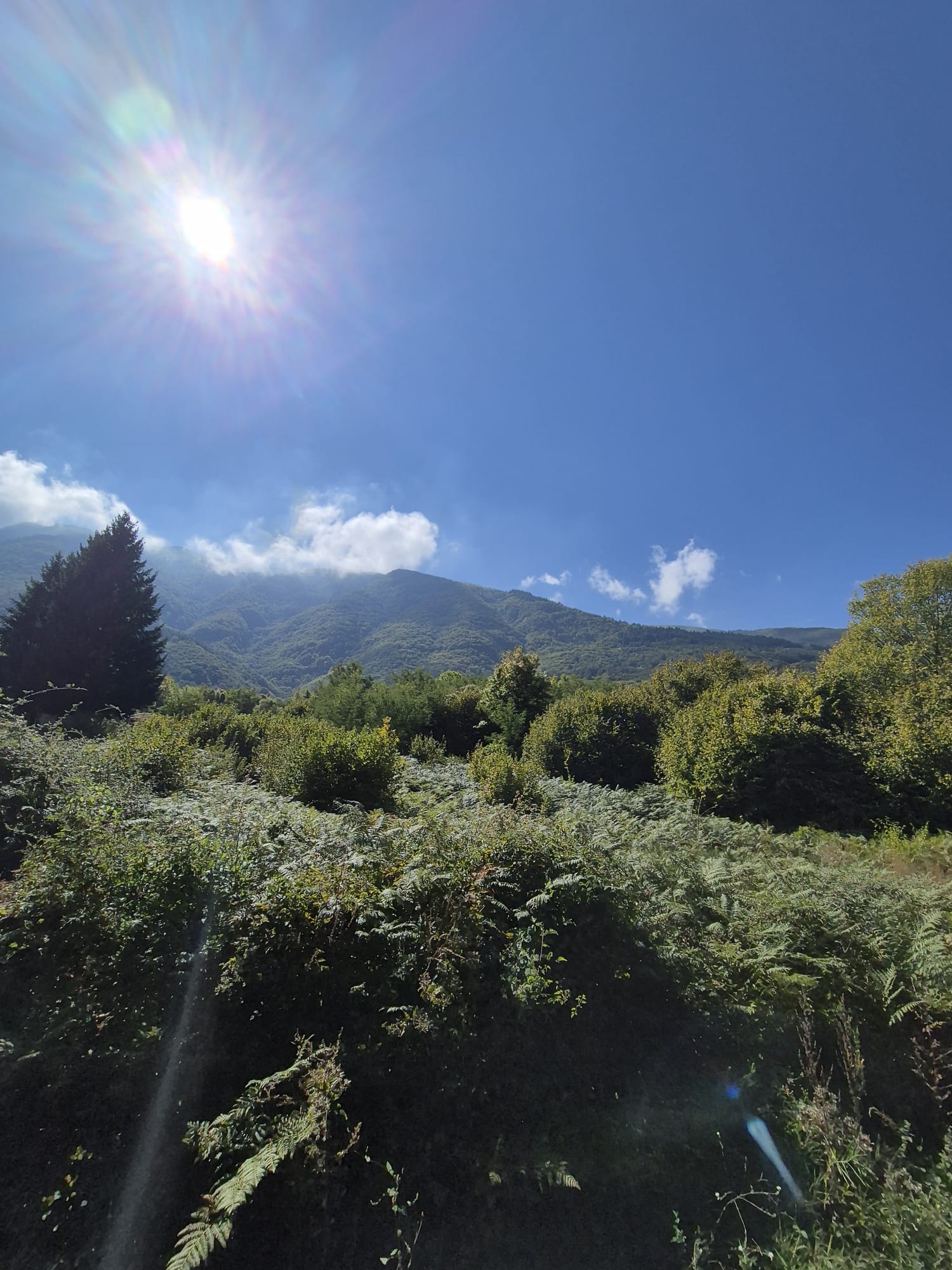 WhatsApp Image 2025-09-15 at 16.17.35.jpeg