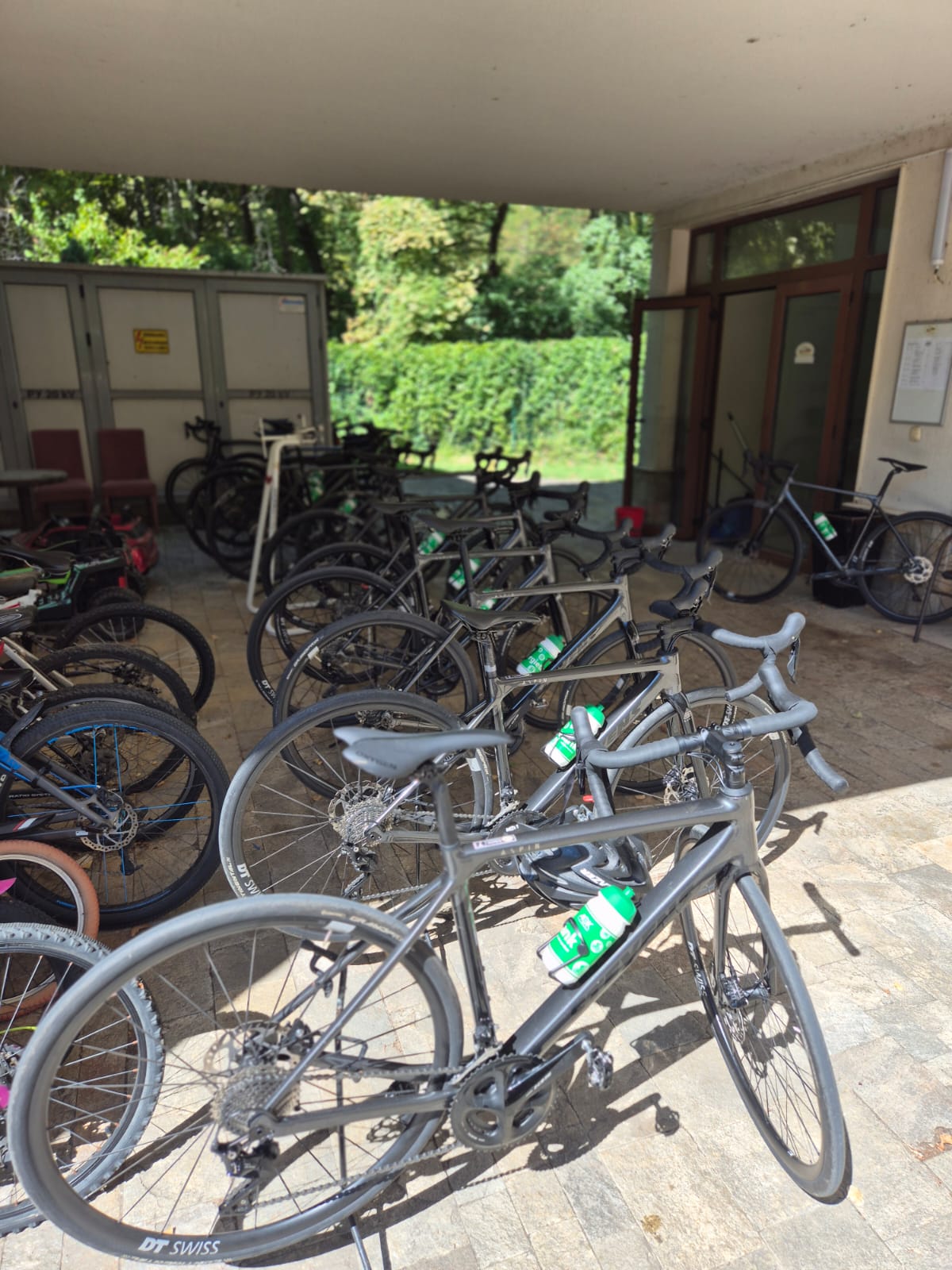 WhatsApp Image 2025-09-17 at 06.26.01.jpeg