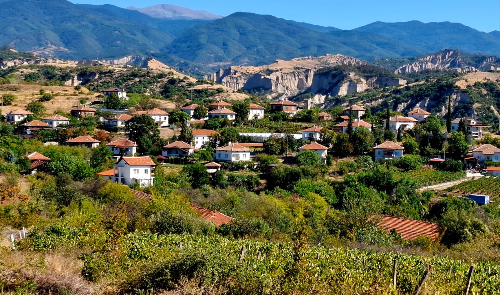 WhatsApp Image 2025-09-18 at 17.09.23.jpeg