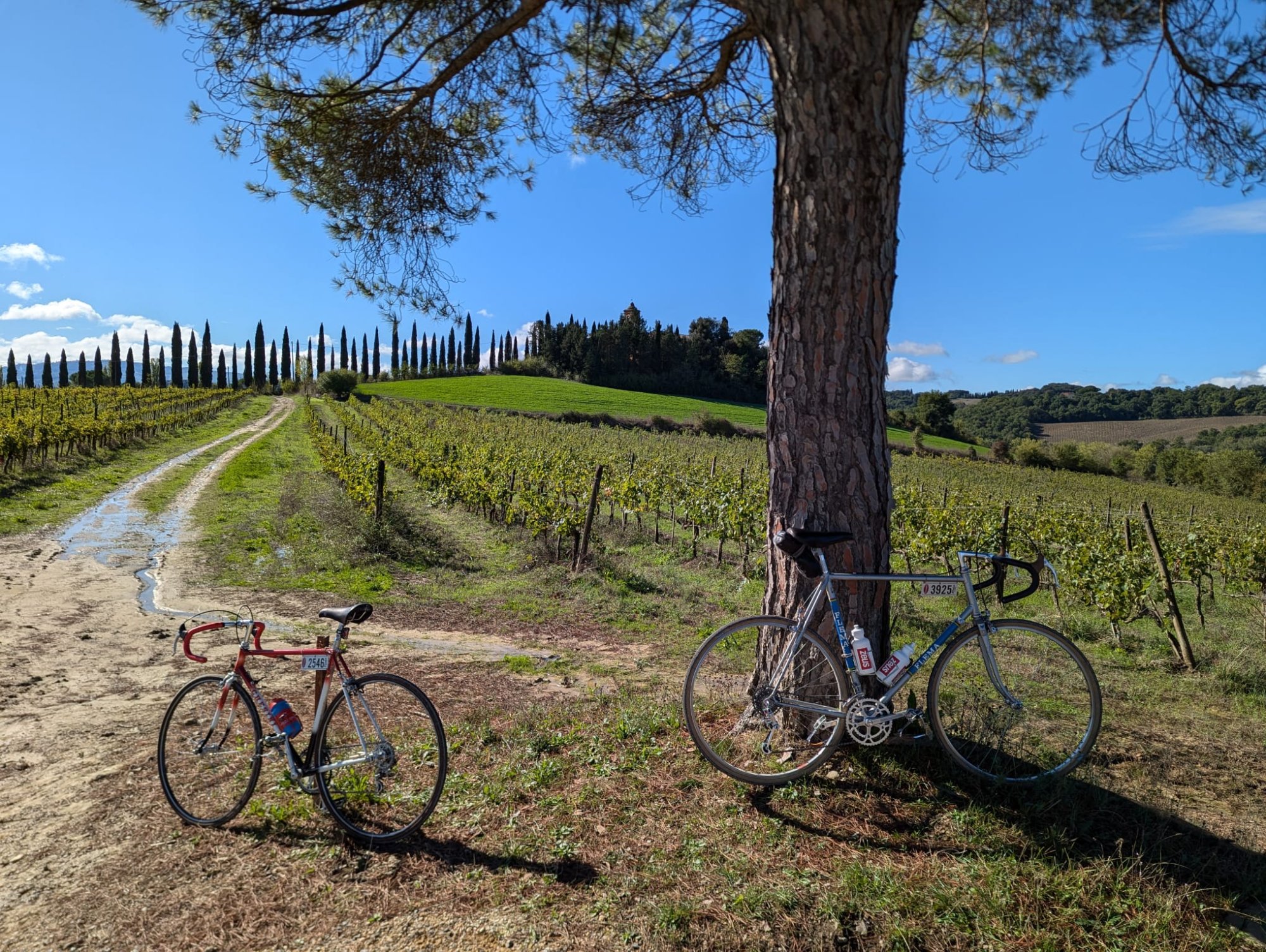 WhatsApp Image 2025-12-04 at 11.04.15(3).jpeg