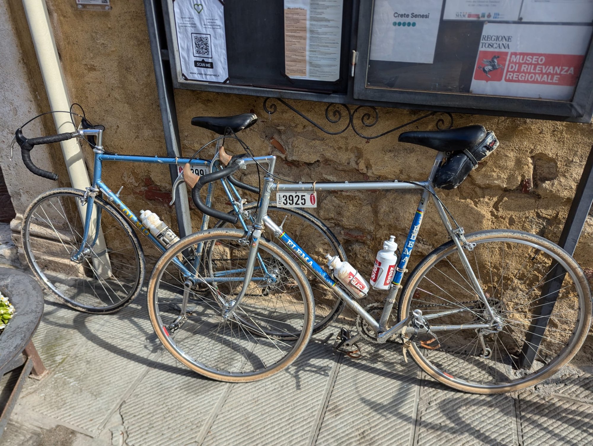 WhatsApp Image 2025-12-04 at 11.04.15.jpeg