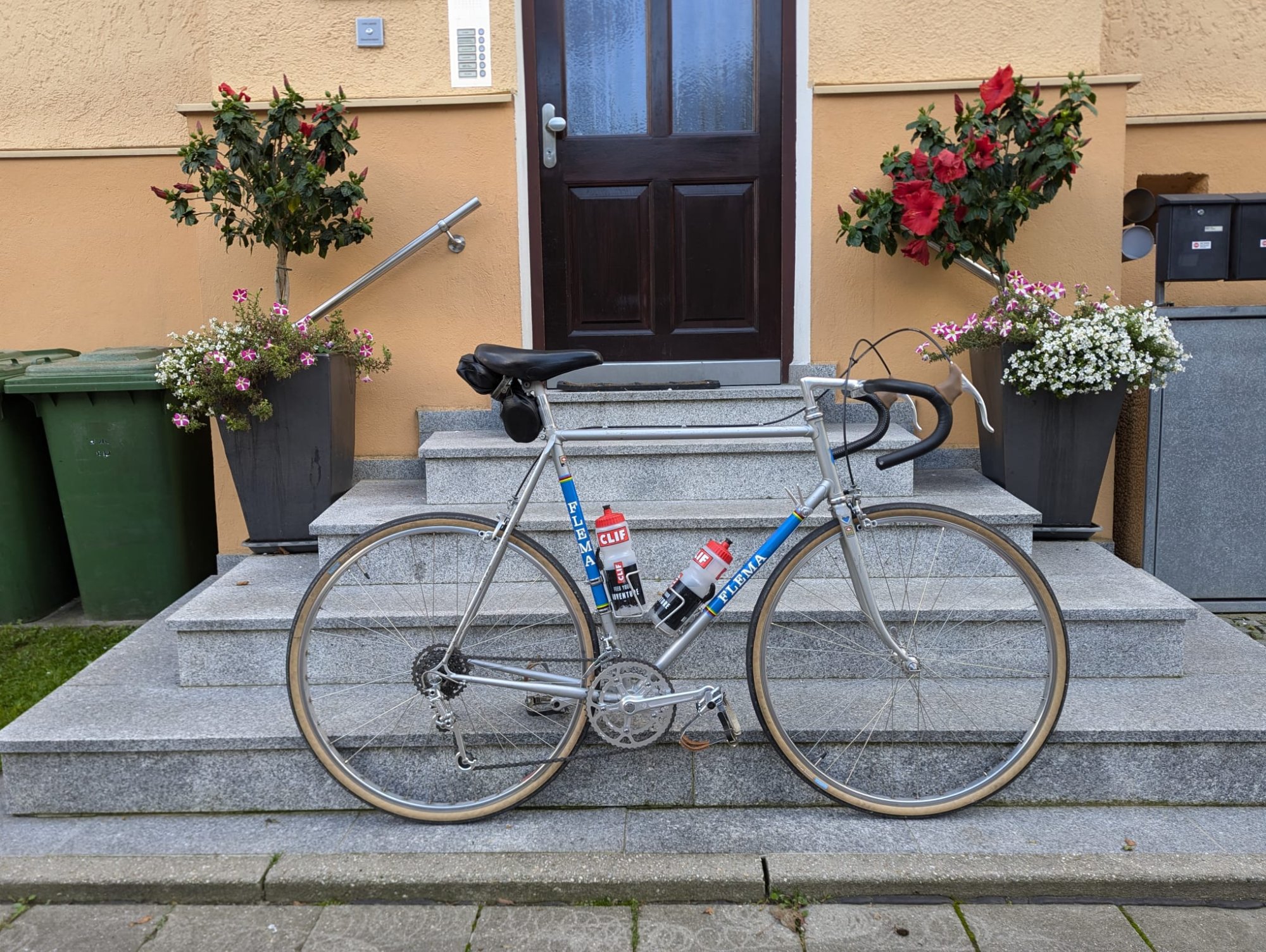 WhatsApp Image 2025-12-04 at 11.04.53.jpeg