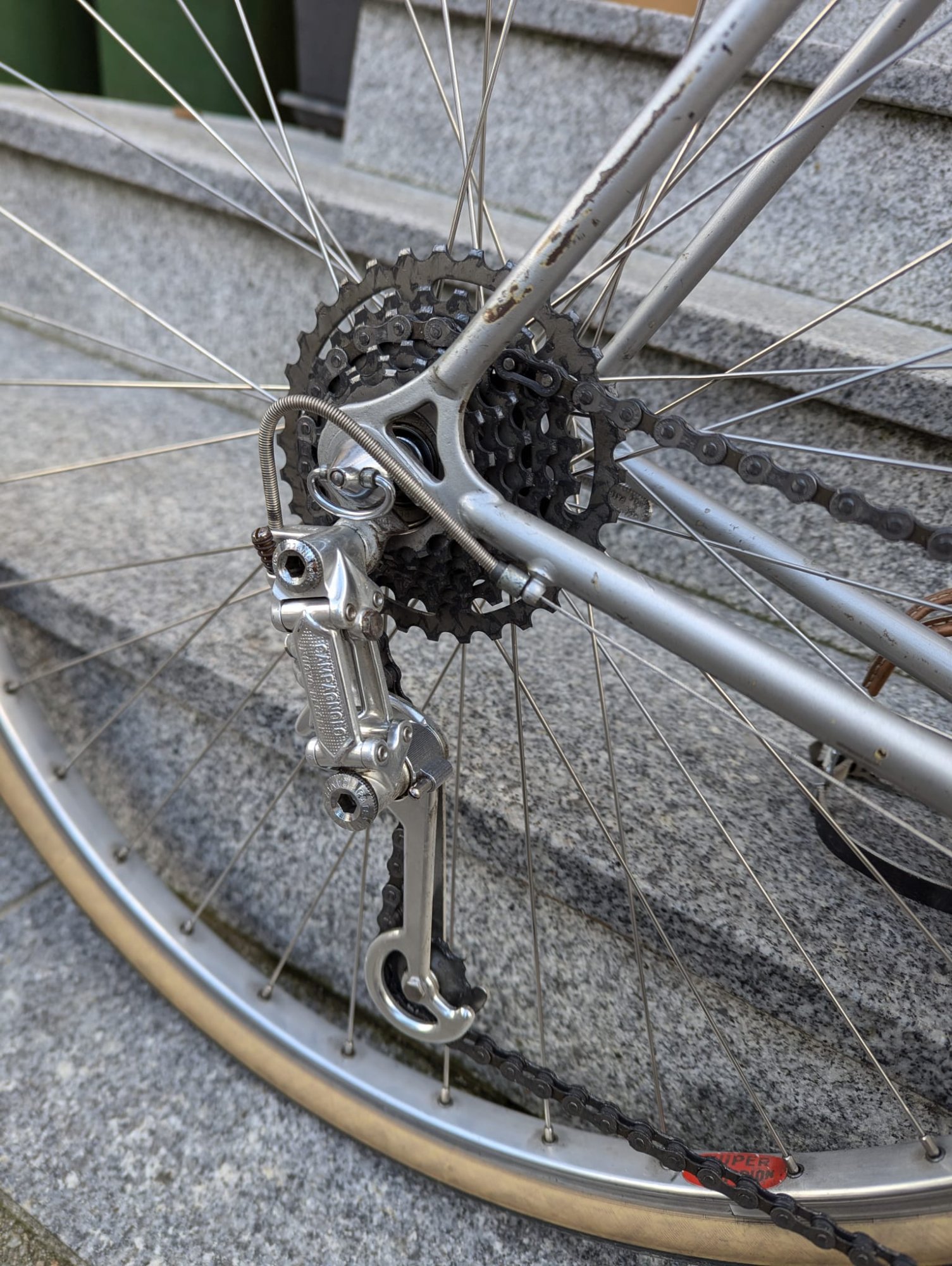 WhatsApp Image 2025-12-04 at 11.04.54(2).jpeg