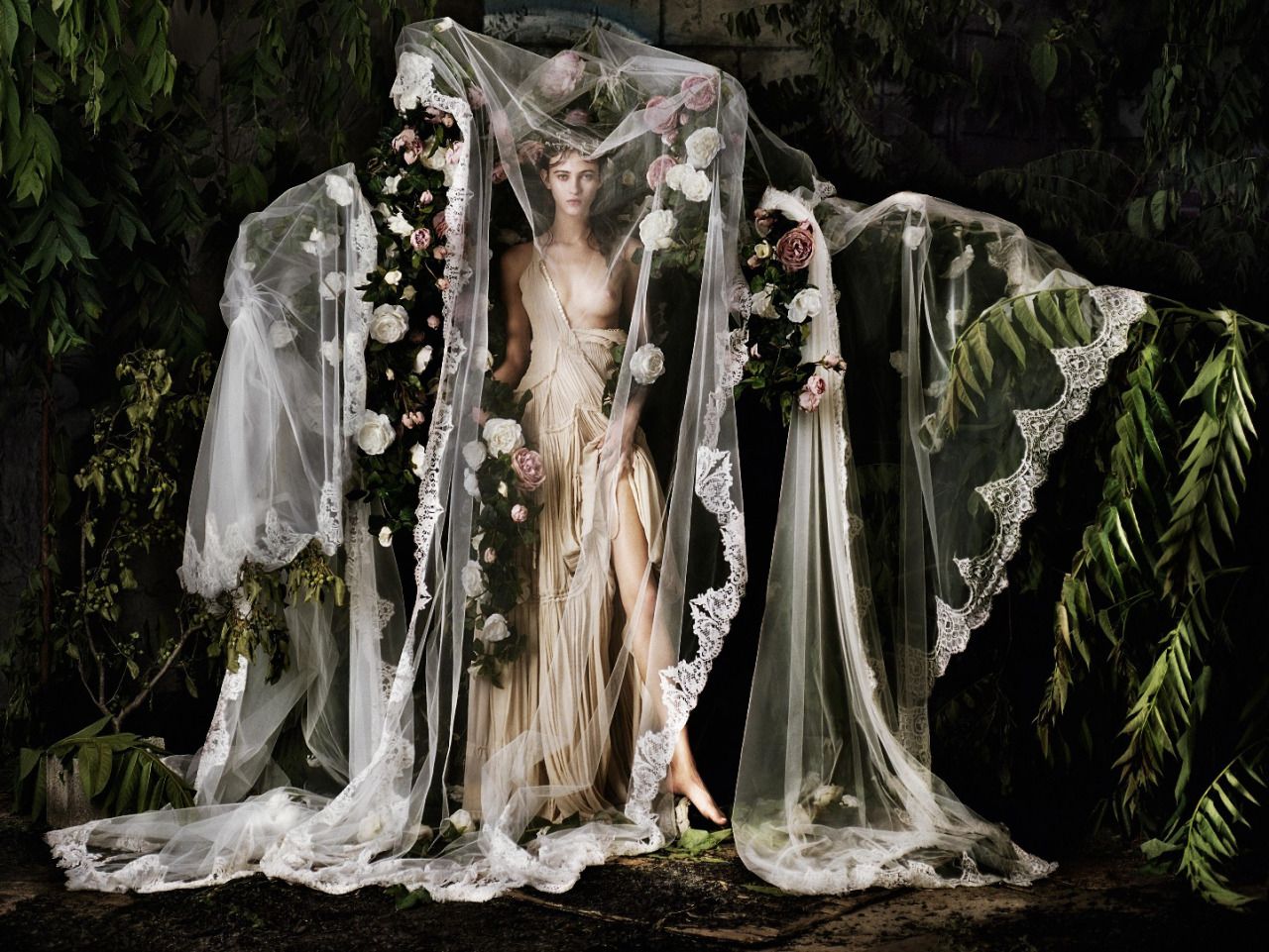 Where The Wild Roses Grow - Jeff Bark (1).jpg