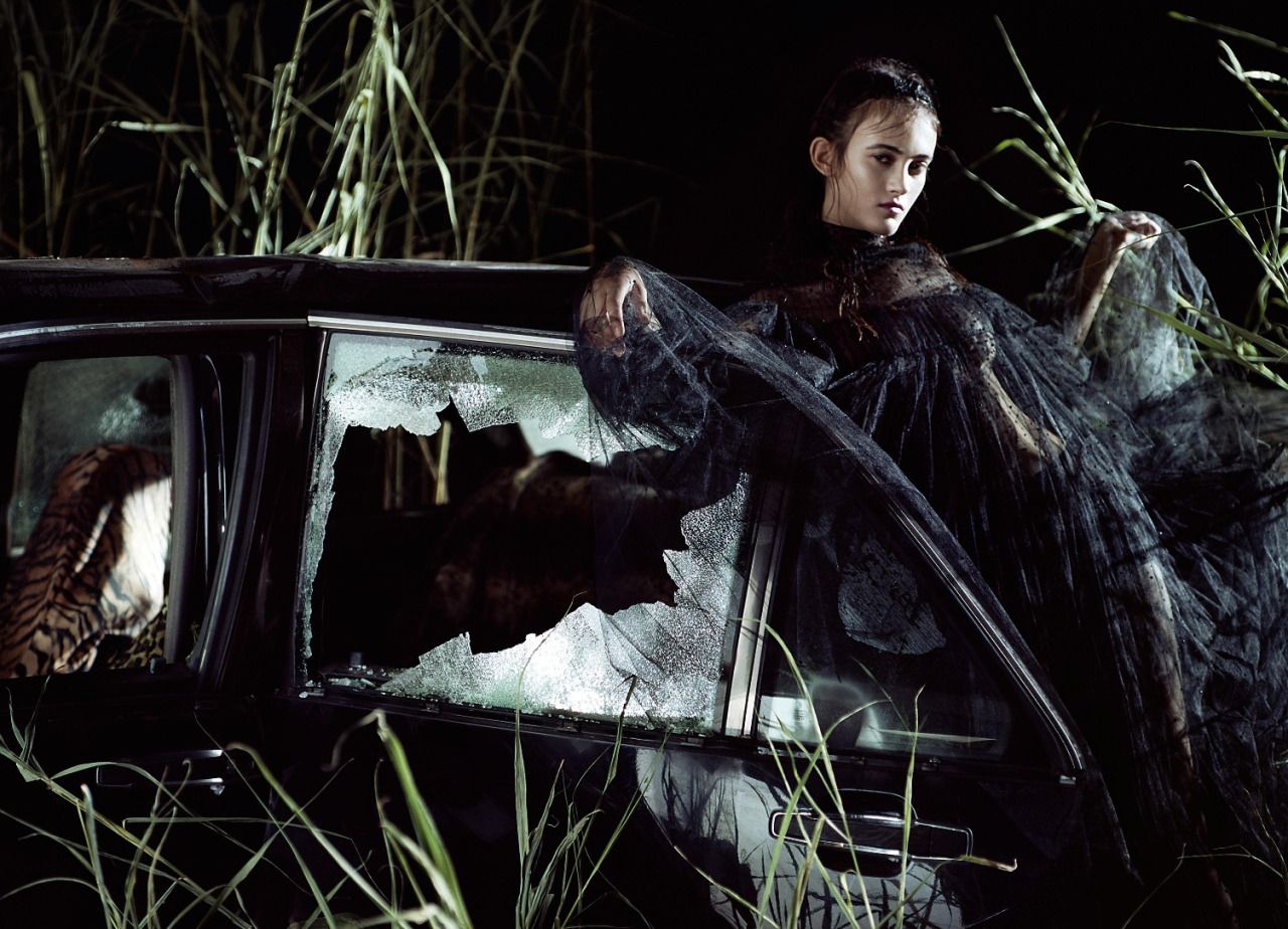 Where The Wild Roses Grow - Jeff Bark (2).jpg