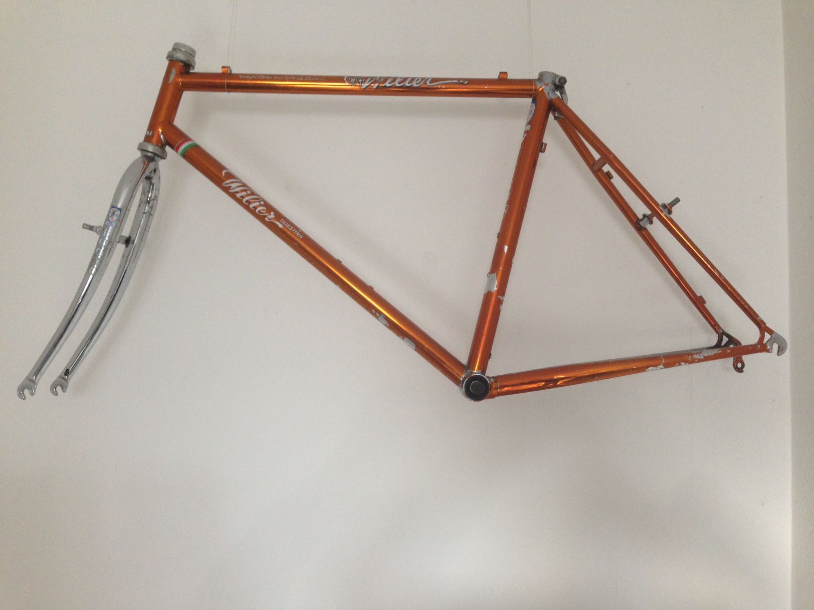 Wilier01.JPG