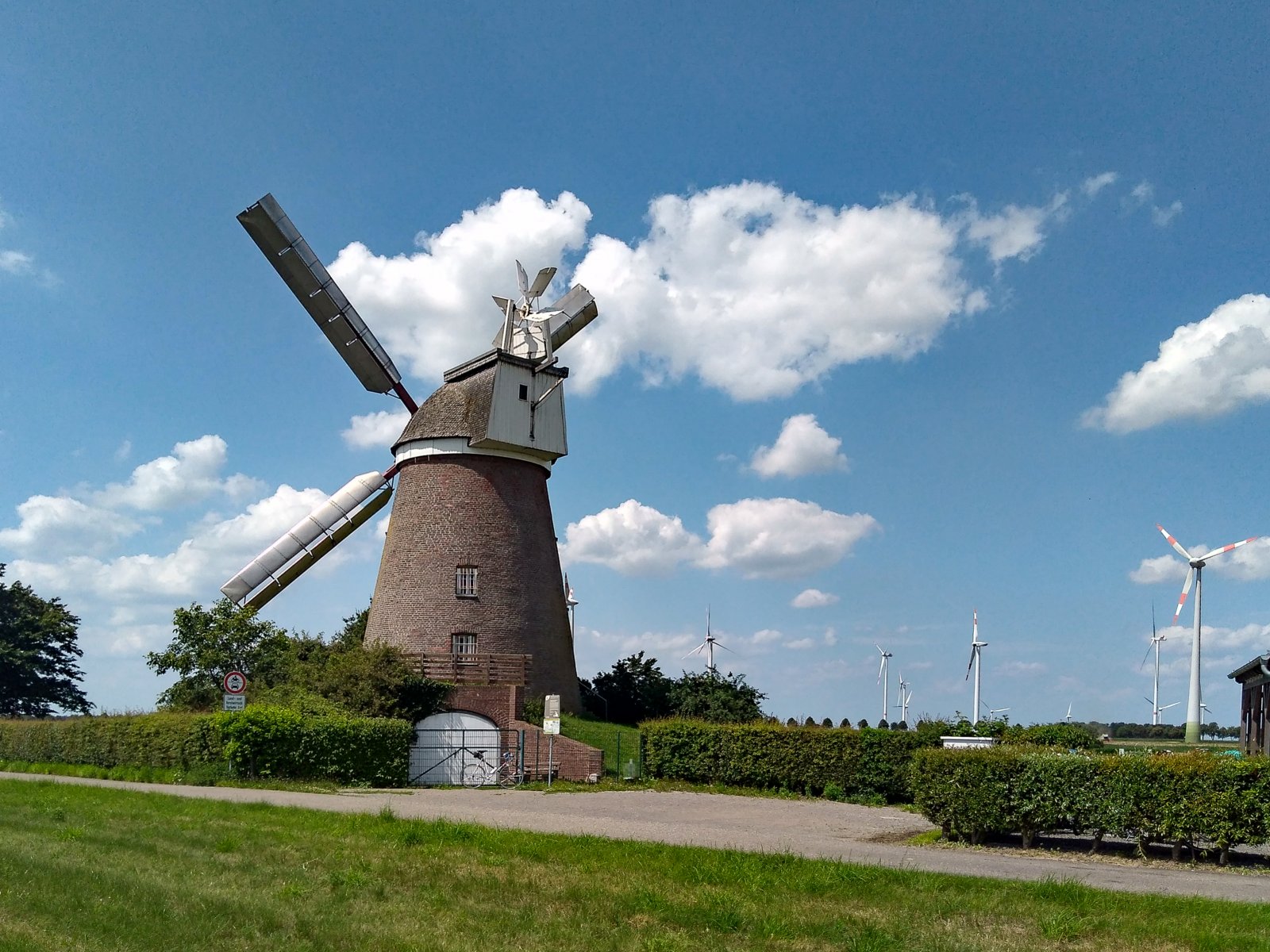 Windmühle Breberen.jpg